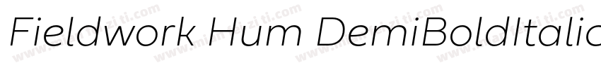 Fieldwork Hum DemiBoldItalic字体转换